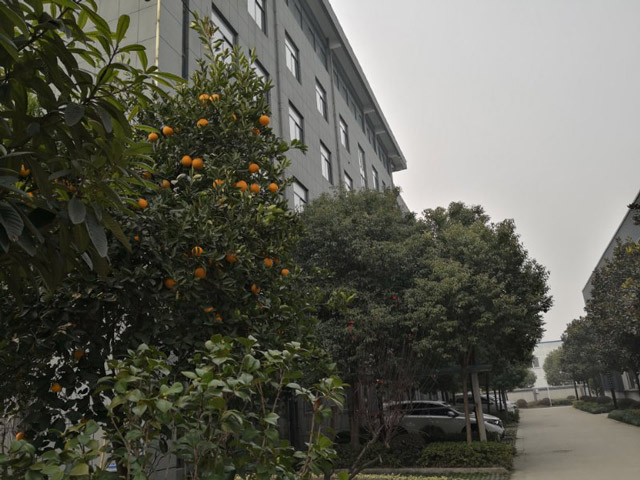 廠區（qū）環境