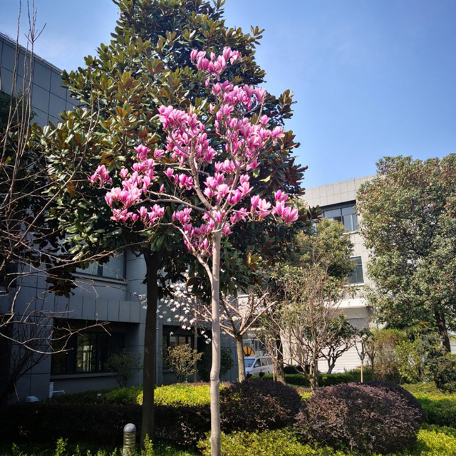 廠（chǎng）區環境